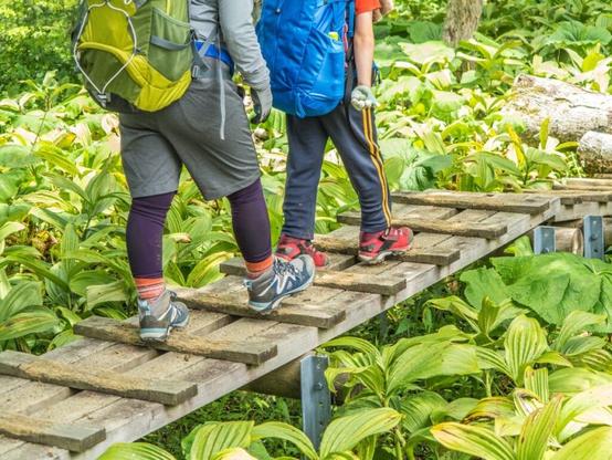 Police agency records 3,357 people in mountain accidents last year