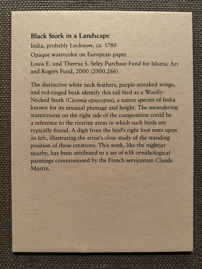 photo of gallery label “Black Stork in a Landscape India, probably Lucknow, ca. 1780 Opaque watercolor on European paper Louis E. and Theresa S. Seley Purchase Fund for Islamic Art and Rogers Fund, 2000 (2000.266) The distinctive white neck feathers, purple-streaked wings, and red-tinged beak identify this tall bird as a Woolly-Necked Stork (Ciconia episcopus), a native species of India known for its unusual plumage and height. The meandering watercourse on the right side of the composition could be a reference to the riverine areas in which such birds are typically found. A digit from the bird's right foot rests upon its left, illustrating the artist's close study of the standing position of these creatures. This work, like the nightjar nearby, has been attributed to a set of 658 ornithological paintings commissioned by the French serviceman Claude Martin.”