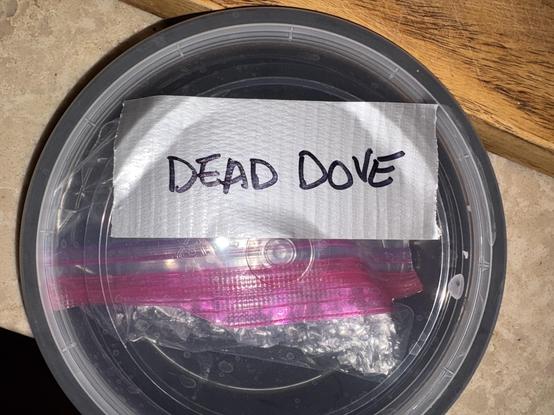 Round plastic Tupperware labeled “Dead Dove” on duct tape.