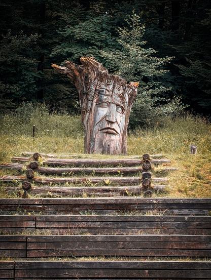 A large, weathered tree stump carved into the face of a man, resembling a "tree spirit" or "Waldmensch" (forest person). The carving is highly detailed, showing a somber or contemplative expression with deep-set eyes, a prominent nose, and a strong jawline. The natural texture and grain of the wood are visible, adding to the character of the face.

The tree face is positioned in a grassy, slightly unkempt clearing, with a dense forest providing a dark, verdant backdrop. In front of the carving, there are several tiers of rough-hewn wooden steps or terracing, leading up to the tree face. 

The wooden sculptures are part of the Skulpturenpfad by Thomas Rees near Freiburg.