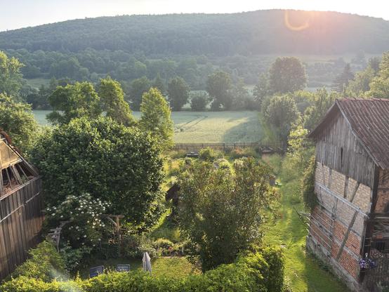 Blick auf Garten und Wald