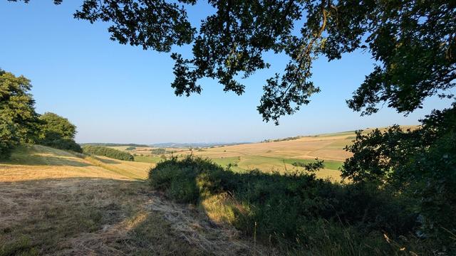 Blick über das Nordpfälzer Bergland