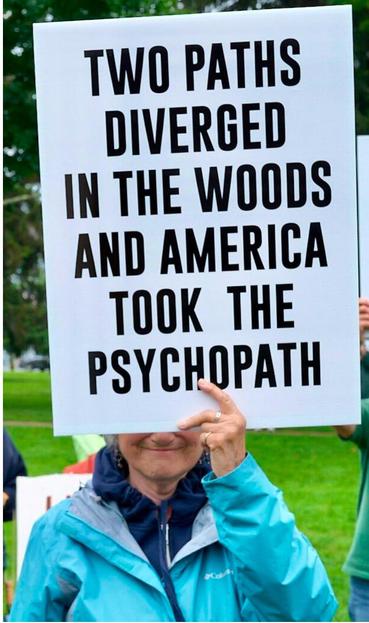Someone holds a sign at the No Kings Day protests:
Two paths diverged in the woods, and America took the psychpath.

Not my photo.