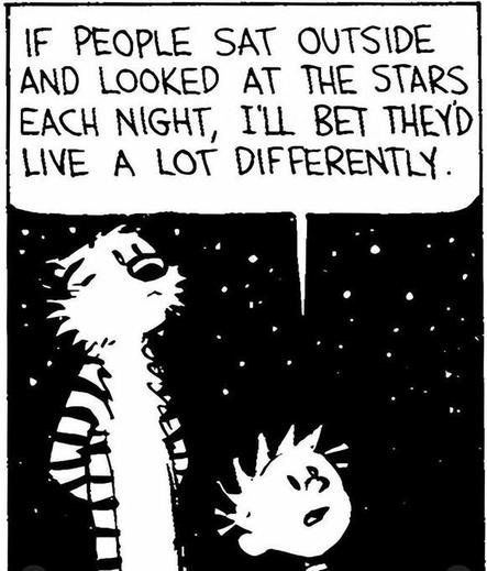 Calvin and Hobbes comic featuring the titular characters who comprise respectively a little boy with spikey blonde hair and a tall tiger who are stood outside staring at the starry night sky pensively. The speech bubble from Calvin reads, "IF PEOPLE SAT OUTSIDE AND LOOKED AT THE STARS EACH NIGHT, I'LL BET THEY'D LIKE A LOT DIFFERENTLY."
