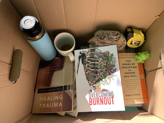 Box with 3 books, thermos , plushie, measure tape, Dino stress toy