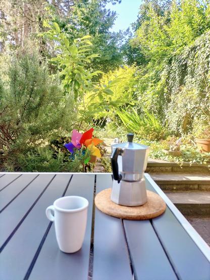 An espresso cup and a Moka coffee maker on a table. A sunlit garden is in the backdrop.
