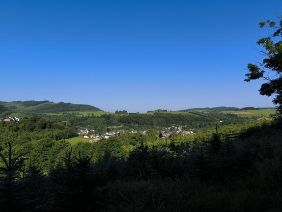 Obere Hälfte blauer Himmel,darunter ein Viertel Berge, Wiesen, Häuser. Das untere Viertel dunkel: Weihnachtsbaumkultur