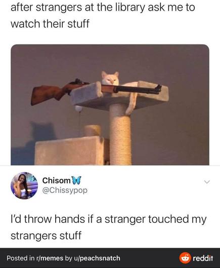 A cat lounges at the top of a cat tree, positioned next to a large wooden rifle. Above this image, text reads: "after strangers at the library ask me to watch their stuff." Below, a tweet from Chisom (@Chissypop) says, "I’d throw hands if a stranger touched my strangers' stuff." The post is from Reddit, shared by u/peachsnatch in the r/memes subreddit.