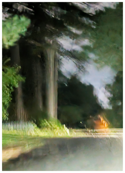 AI-assisted alt text:

	
A blurry, impressionistic photo of a dark, tree-lined subdivision street at night through a rain-smeared car windshield. Tall trees tower over the road, and streetlights create soft, glowing points of light through the hazy, wet atmosphere