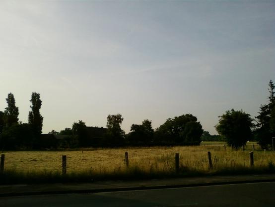 Ein Feld, weiter hinten Baeume und ein Haus im Sonnenschein.