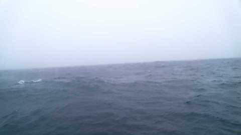 This is an image captured by a buoy floating at sea.