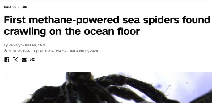 CNN: "First methane-powered sea spiders found crawling on the ocean floor"
