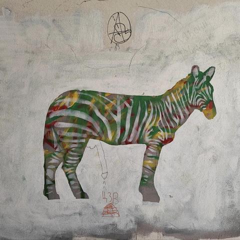 Graffiti of zebra in color