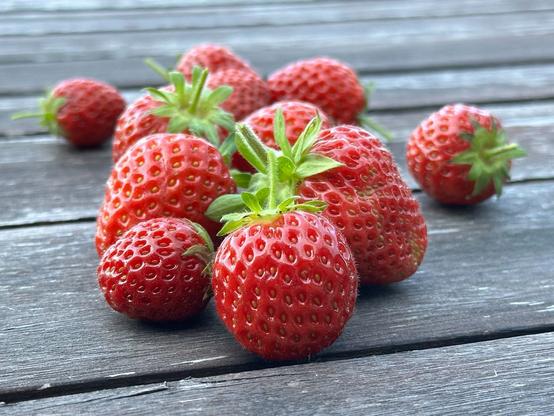 Das Foto zeigt selbstgeerntete Erdbeeren auf dem Balkontisch.