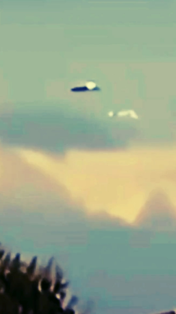 UFO or What?!