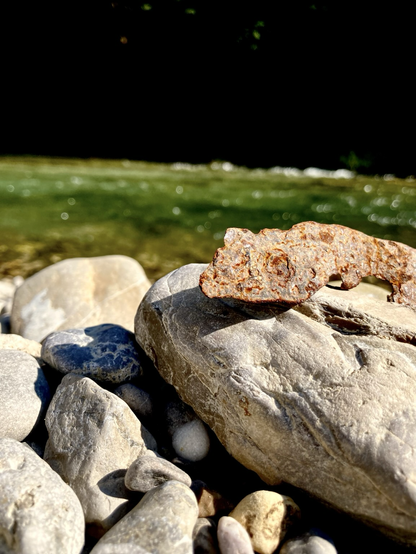 on a pebble, by the river, a ragged piece of rusted metal bears a steange resemblance with a sunbathing lizard