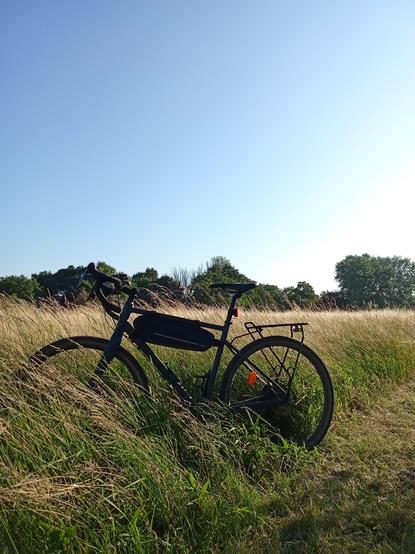 My gravel bike standing in a field of grass. There is a line of green trees in the middle of the picture. The sky is blue.