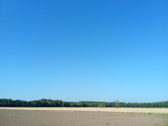 The picture is divided into four parts. The great blue sky taking more than two third then a thin line of green trees followed by a thin line of a yellow field and in the bottom a field that looks completly barren.