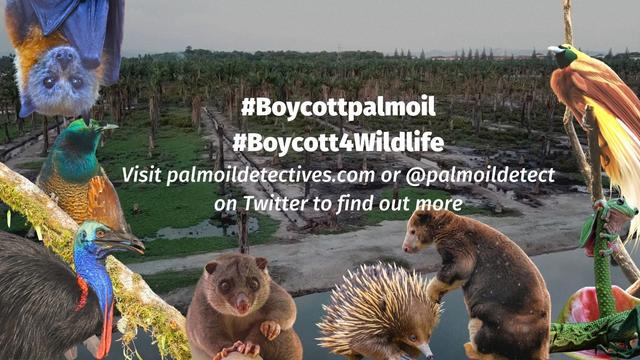 Do you know what the worst taste is? It's the revolting taste of rainforests being destroyed for #palmoil in #chocolate and #candy made by #Nestle #Mondelez #Ferrero. Make sure you #BoycottPalmOil 🌴🩸🚜🔥🙈☠️🚫 #Boycott4Wildlife @palmoildetect.bsky.social https://palmoildetectives.com/2021/02/11/palm-oil-free-chocolate-and-confectionery/?utm_source=mastodon&utm_medium=Palm+Oil+Detectives&utm_campaign=publer