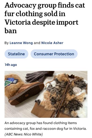 Advocacy group finds cat

fur clothing sold in

Victoria despite import

ban

By Leanne Wong and Nicole Asher

Stateline Consumer Protection

An advocacy group has found clothing items

containing cat, fox and raccoon dog fur in Victoria.

(ABC News: Nico White)