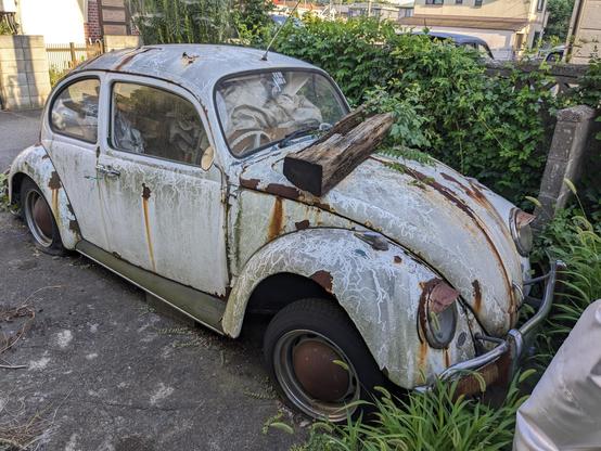 Ein, wohl ehemals weißer, VW Käfer mit Rostflecken und von Unkraut umgeben.
Auf der vorderen Haube liegt eine ausgediente Bahnschwelle.