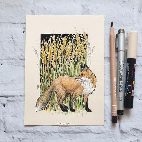 A small drawing of a red fox with a field of wheat in the background.  The drawing is on cream toned pastel paper. 
Famed for their cunning and stealth, these orangey-red dogs with their bushy tails can be seen in towns and the countryside. They come out mostly at night but can also be seen during the day.  They are the UK's only wild member of the dog family.
An original art work
Colour pencil and mixed media on acid free toned artist paper
5 by 7 inches (12.7 by 17.8 cm).
Sold unframed