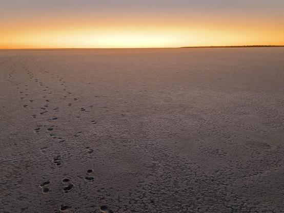 Yellow glowing sky as the sun sets over a salt lake. On the left, footprints go in both directions away and toward the camera. On the horizon a thin spit of land protrudes in from the right.