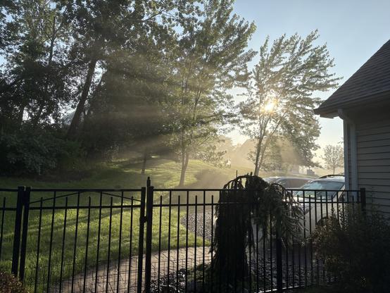 Early morning sun shining through the trees, creating rays of light over a backyard lawn. A black metal fence in the foreground with a lone shrub, and a partial view of two cars in the driveway behind the fence.