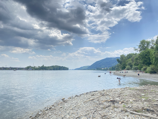Die Donau mit Blickrichtung stromabwärts, links die Nordspitze der Donauinsel, rechts im Bild der Uferbereich mit Steinstrand, Menschen, Hunden