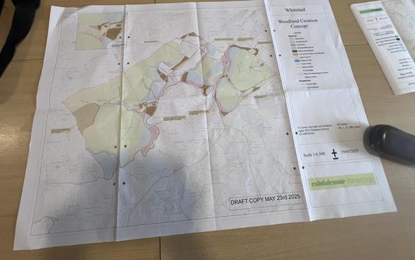 A plan of the propose forestry