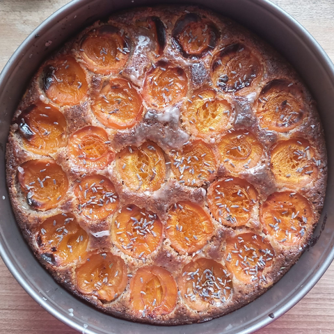 Ein in einer Tortenform gebackener Kuchen oben mit halben Aprikosen belegt, mit Lavendel bestreut.