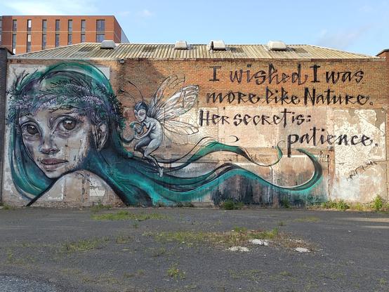 A mural of a elf like lady with a text I wished I was more like nature.Her secret is patience.