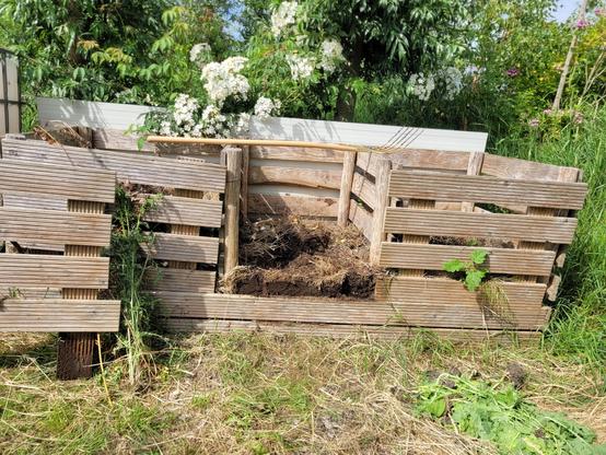 A compost bay divided in three compartments. The middle one is half filled. The compost in the right bay is just about ready. On the left is the newest stuff. 
Behind the compost are 2 coppiced willows and a Filipes Kiftsgate rose in bloom.