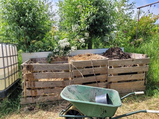 3 Bay composting system. The left bay has a little bit in in, on the top of the middle one you you can see a bit of light brown grass and the right bay has nice looking dark compost. There is a green wheelbarrow in front of it