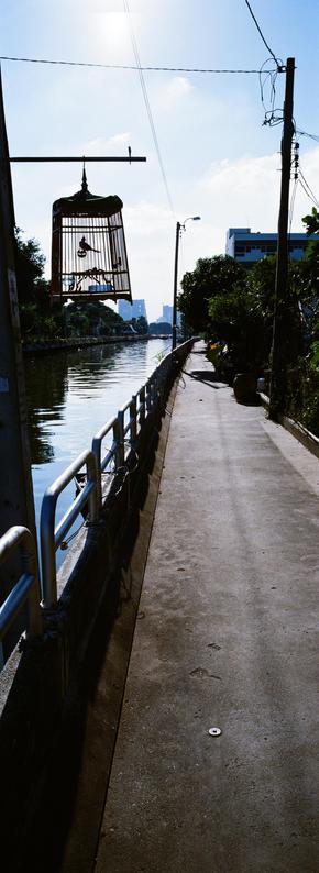 Panorami vertical photo of a narrow concrete pathway runs alongside a calm canal with metal railings on the left. A large birdcage hangs over the canal, silhouetted against the sky, with a bird inside. Utility poles and wires are visible above, and trees with dense foliage line the right side of the path, partially obscuring some buildings. The city skyline is faintly visible in the distance under a clear blue sky.