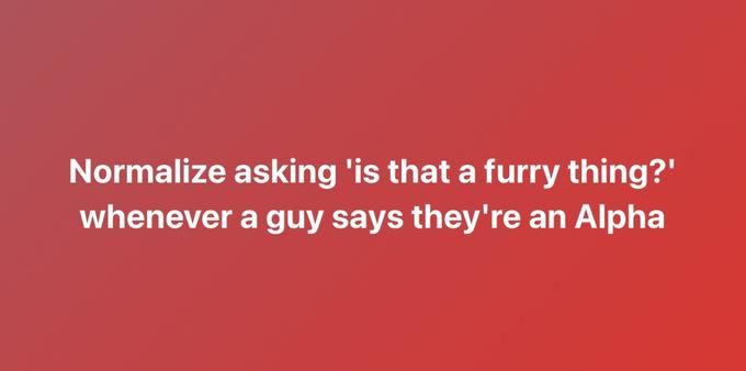 red background with white text that reads, "Normalize asking 'is that a furry thing' whenever a guy say's they're an alpha"