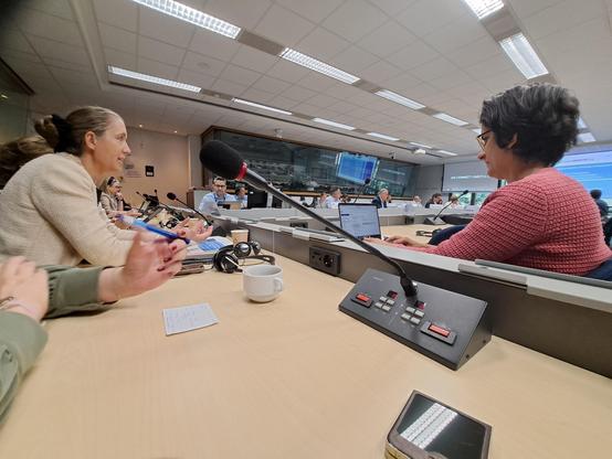 Stéphanie Schaer, CIO Frankrijk beantwoord vragen van lidstaten.