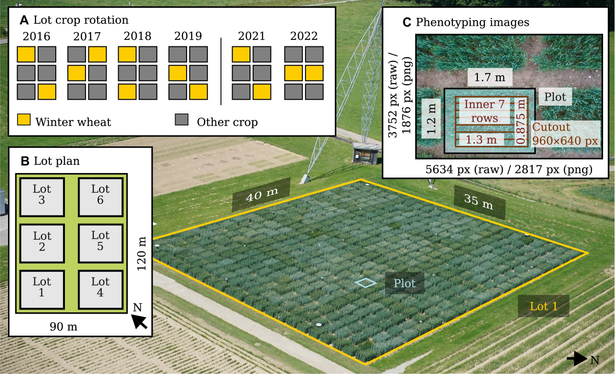 The background image shows the Field Phenotyping Platform (FIP) and a field of 40 x 35 m where wheat plots growth. Additional panels illustrate the crop rotation for the years 2016-2022, a schematic lot plan, and images taken with the FIP showing 1 complete plot; the positions of the complete plot and the inner 7 rows are annotated.