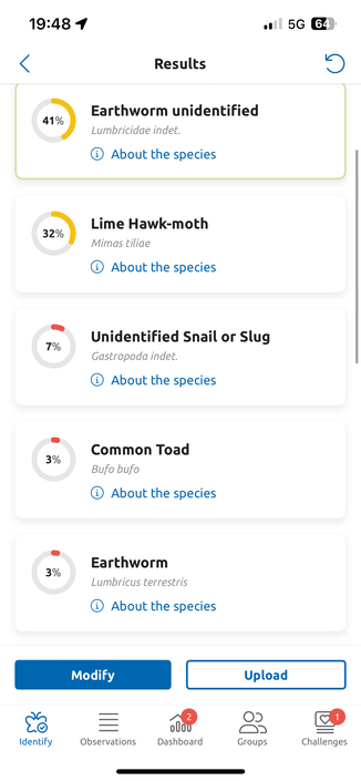 A screen from the Obsidentify app with a list of results:  Lumbricus terrestrisified
3Lumbricus terrestris
Unidentified Snail or Slug
3%
Common Toad
3%
Earthworm
Lumbricus terrestris