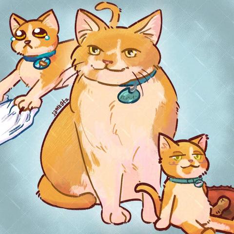 Illustration of a cute cat named Peanut! Illustrated by JamKats (Zac) for a client. Peanut is an orange and white cat with yellow eyes and a teal-blue collar. She is drawn in three different styles:
Style 1, top left: Stylized! JamKats's usual style of drawing cats. Peanut's eyes are cartoon-ishly big and watery as she desperately clings to a white shirt (off-screen).
Style 2, middle: Semi-realistic! Still fairly stylized and shape-y, but the proportions are more realistic. Peanut is smiling while looking at something off to the left.
Style 3, bottom right: Animal Crossing-inspired! Cartoon-like and round, Peanut is drawn like an Animal Crossing New Horizons villager. Her eyes are half-lidded in a relaxed fashion, and she is sitting next to a bag of peanuts.
