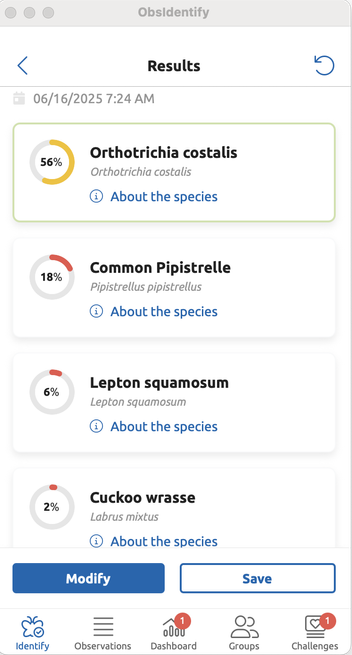 A screenshot of the obsidentify app with some ID results. The list reads: 
 Orthotrichia costalis 56%
Common Pipistrelle 18%
Lepton squamosum 6%
Cuckoo Wrasse 2%