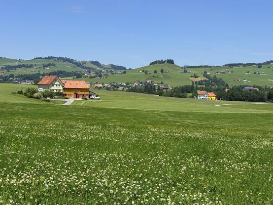 zwei bauernhäuser auf der grossen wiese