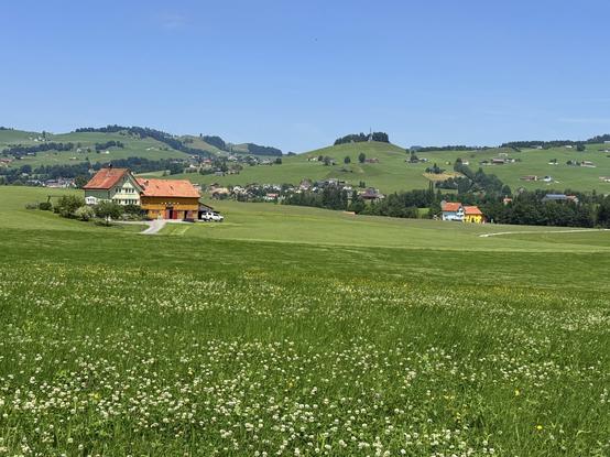 zwei bauernhäuser auf der grossen wiese