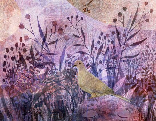 Against a background of swirling pinks and purples, silhouettes of abundant flowering plant life blooms. In the foreground, perched on a peaceful, abstract face, a pale taupe mourning dove rests.