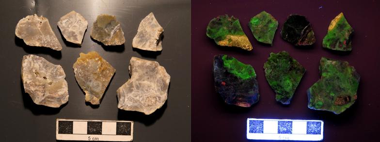 The image is in two halves: on the left is a view of 7 pale brown rock fragments and a cm scale bar below. On the right, the same view, illuminated in ultra-violet light. The rock fragment show a bright green luminescence, with yellow and red in patches.
