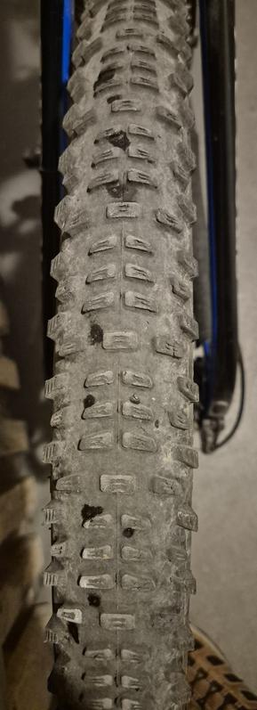 Draufsicht auf die Lauffläche eines MTB Reifens. An zahlreichen Stellen sind dunkle Flecken wo Dichtmilch ausgetreten ist und ein kleines Leck abgedichtet hat.