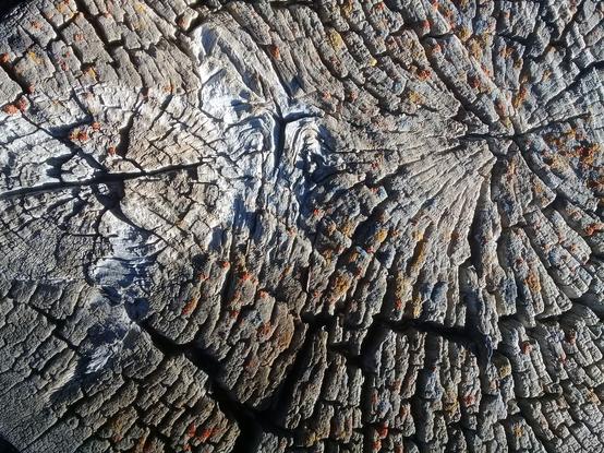 the surface of a long-cut-down tree stump, cracked six ways to Sunday, with two interior "knots" evident and a larger jagged crack running across the bottom, again resembling in "illusion" fashion, a creepy jack-o-lantern grin