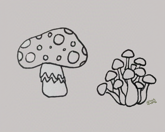 Ink doodle of amanita and beech mushrooms.