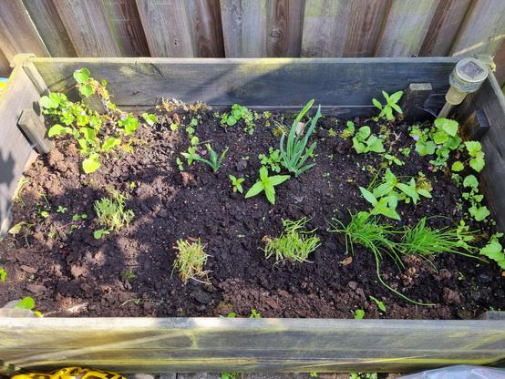 Herbs, reused