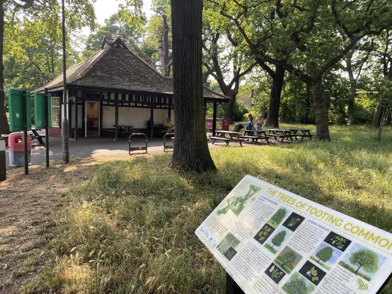 Try to stay in the shadow and near water stations these days 🥵